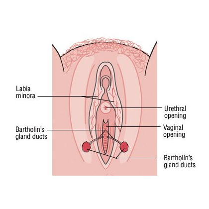 Vaginal Cyst Symptoms
