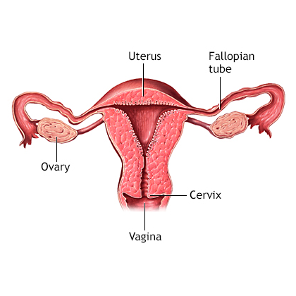 Vaginal Cyst Treatment