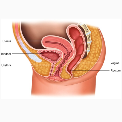 Vaginoplasty Treatment